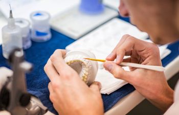 A dentist is working on a model of a tooth.