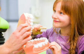 A pediatric dentist holding a dental model and a young girl learning how to properly brush teeth.