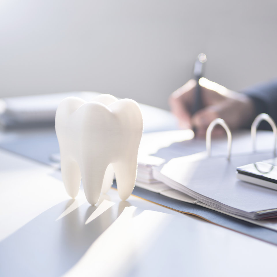 tooth model on a desk where someone is doing financing